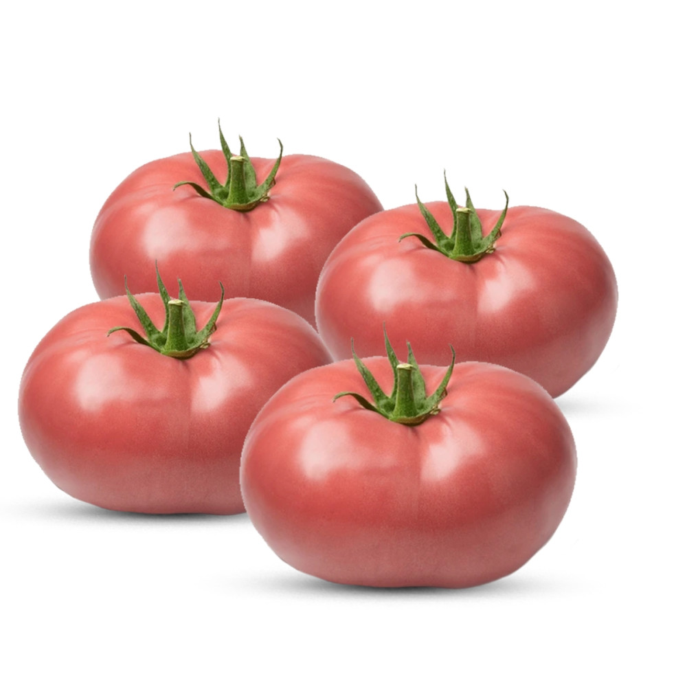 Domate Roze kg/ (PLU: 1303)